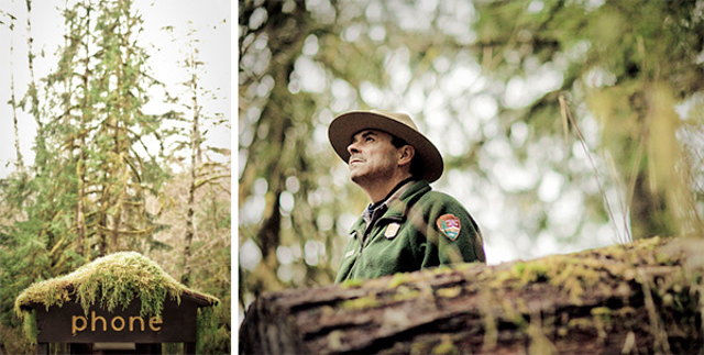 invoko_diptych_olympic_park_forest